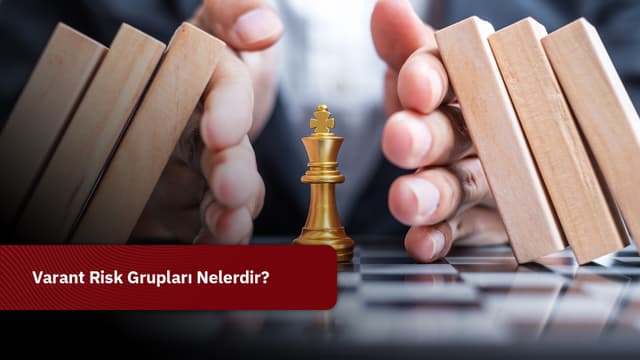 Varant Risk Grupları Nelerdir?