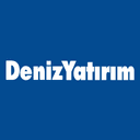 DZY logosu