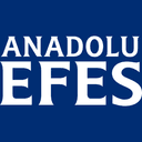 AEFES logosu