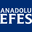 Anadolu Efes Biracılık ve Malt Sanayii A.Ş.