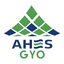 AHSGY