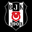 Beşiktaş Futbol Yatırımları Sanayi ve Ticaret A.Ş.
