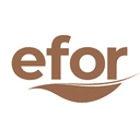 EFOR logosu