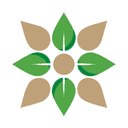 KAYSE logosu