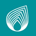 NETAS logosu