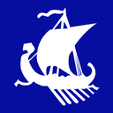 VKING logosu