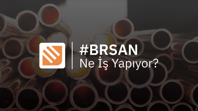 BRSAN Ne İş Yapıyor?