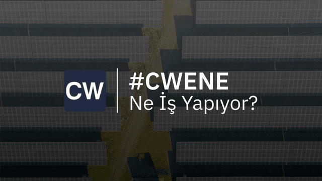 CWENE Ne İş Yapıyor?