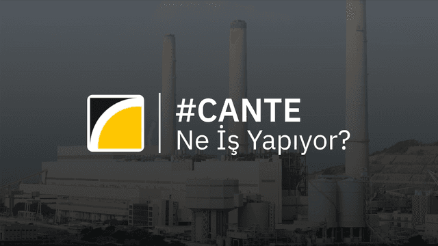 CANTE Ne İş Yapıyor?