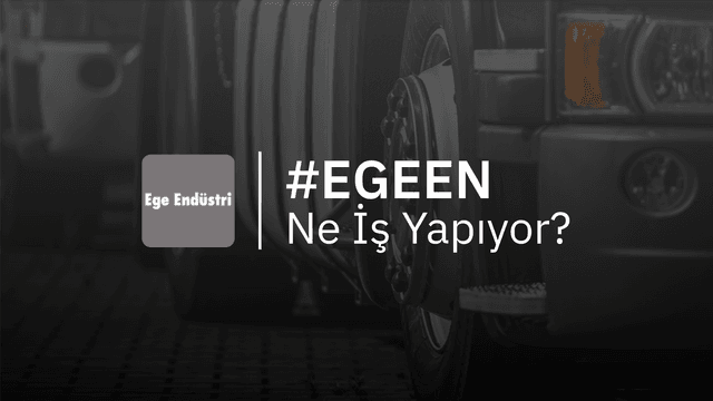 EGEEN Ne İş Yapıyor?
