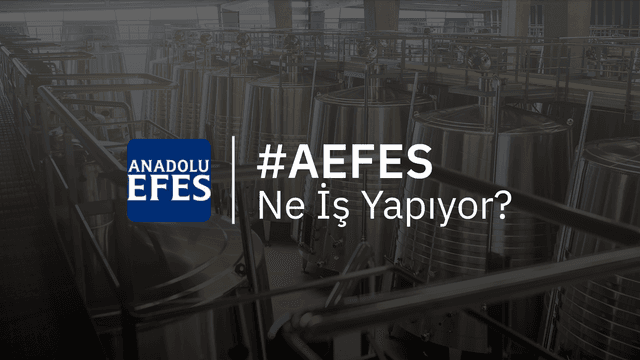 AEFES Ne İş Yapıyor?
