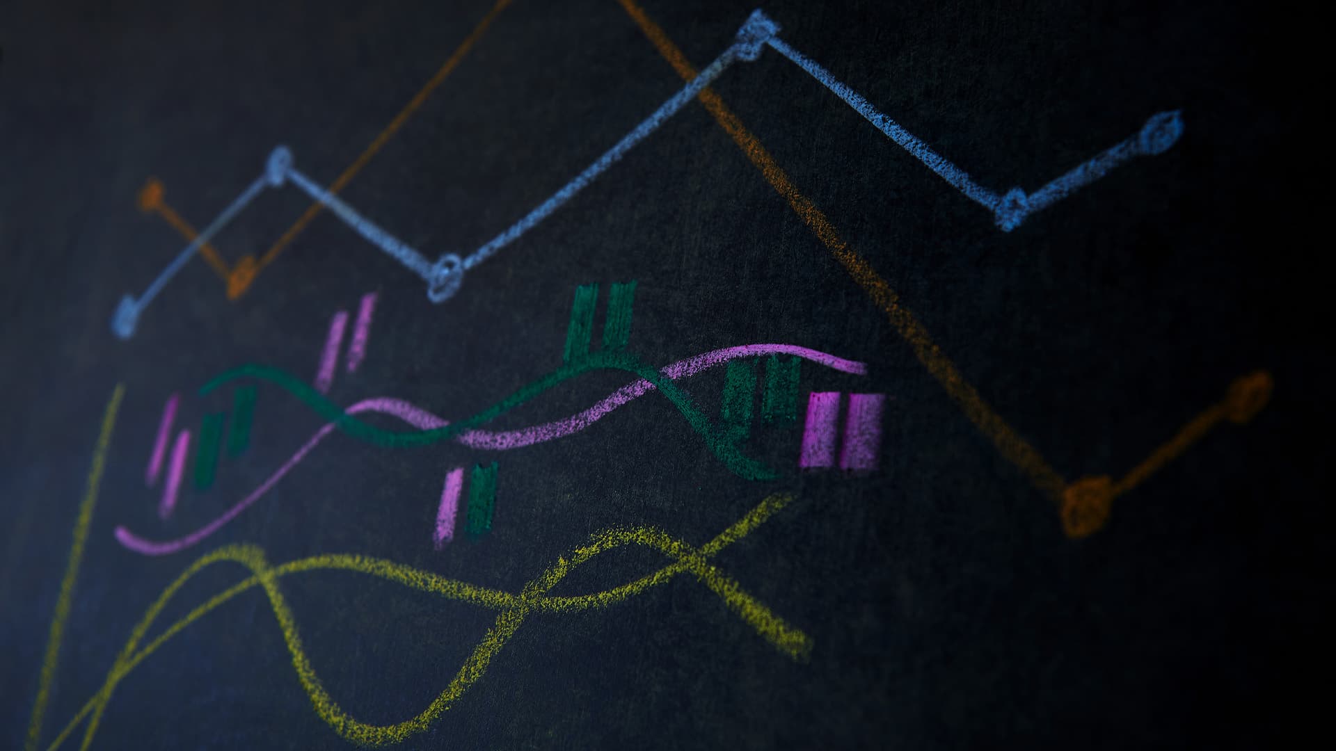 Ed Seykota’nın Yatırım Tavsiyeleri ve Teknik Stratejileri
