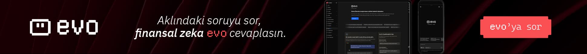 Fin_Evo_Paketi_Web_Equity