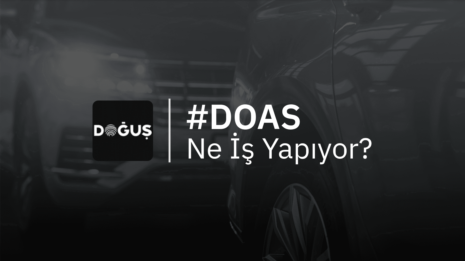 Doğuş Otomotiv Ne İş Yapıyor?
