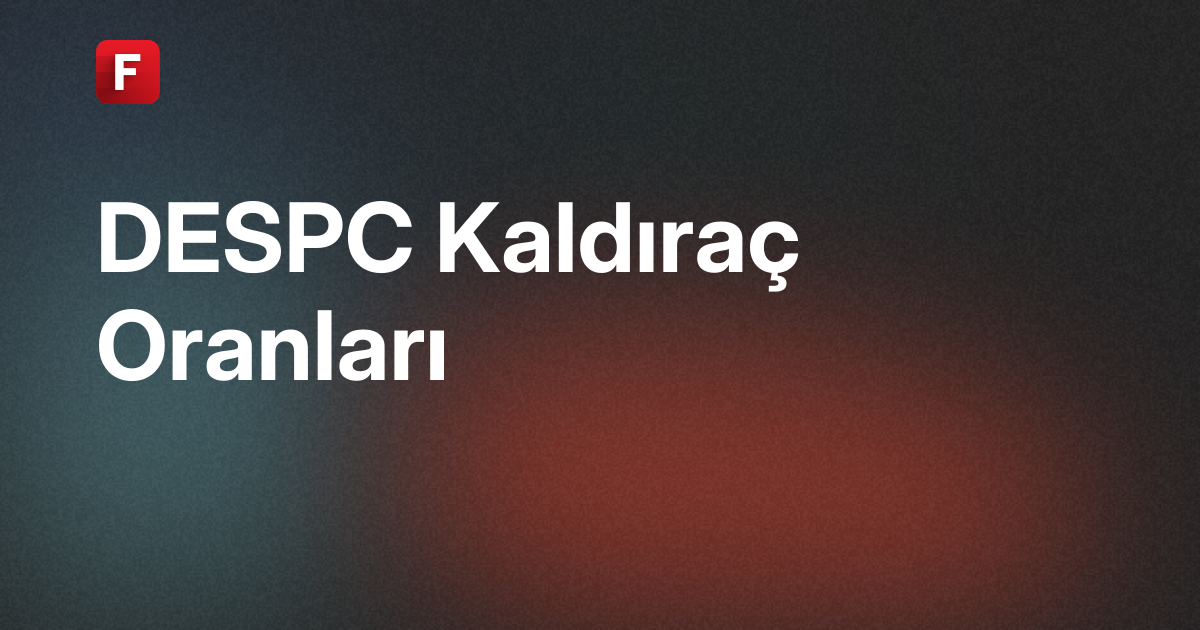 Despec Bilgisayar Pazarlama ve Ticaret A.Ş. (DESPC) Kaldıraç Oranları
